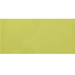 BISELADO PISTACHIO 10X20 – ŠPANSKE PLOČICE VILAR ALBARO 1kl.